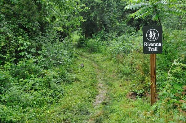 Urban Wilderness Experience