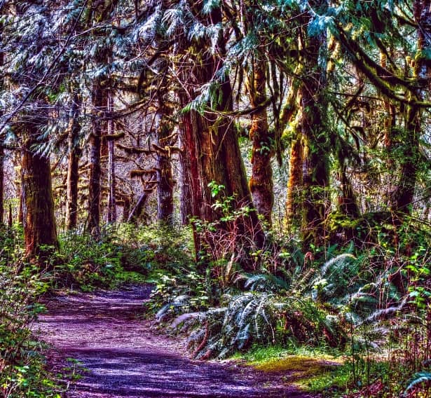 Coastal Hiking Trails