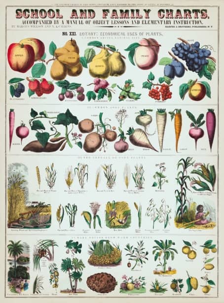 Seasonal Produce