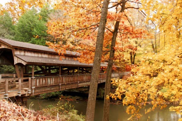 Fall Foliage Spectacle