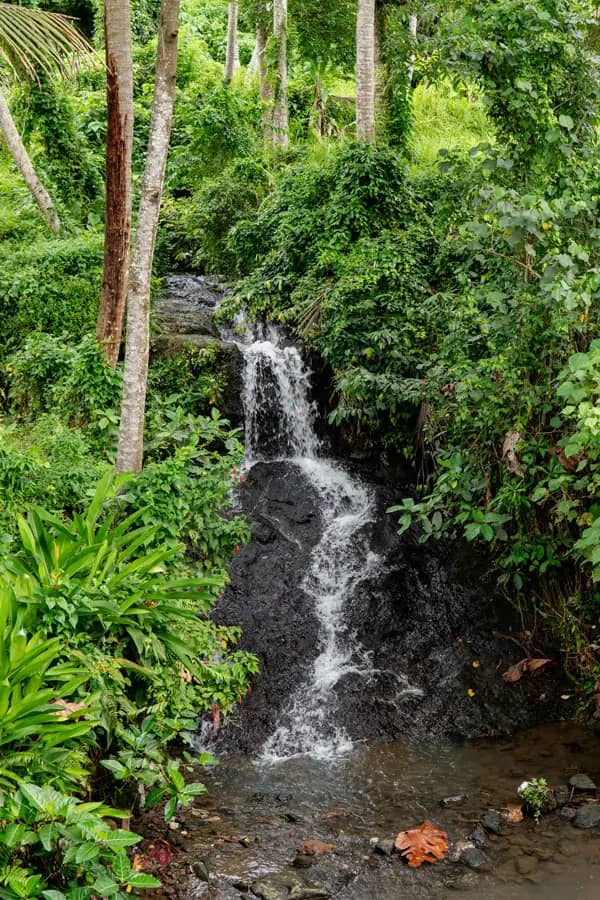Natural Spring