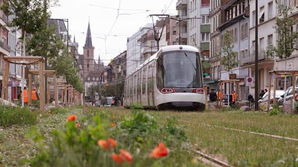 Accessible Public Transport