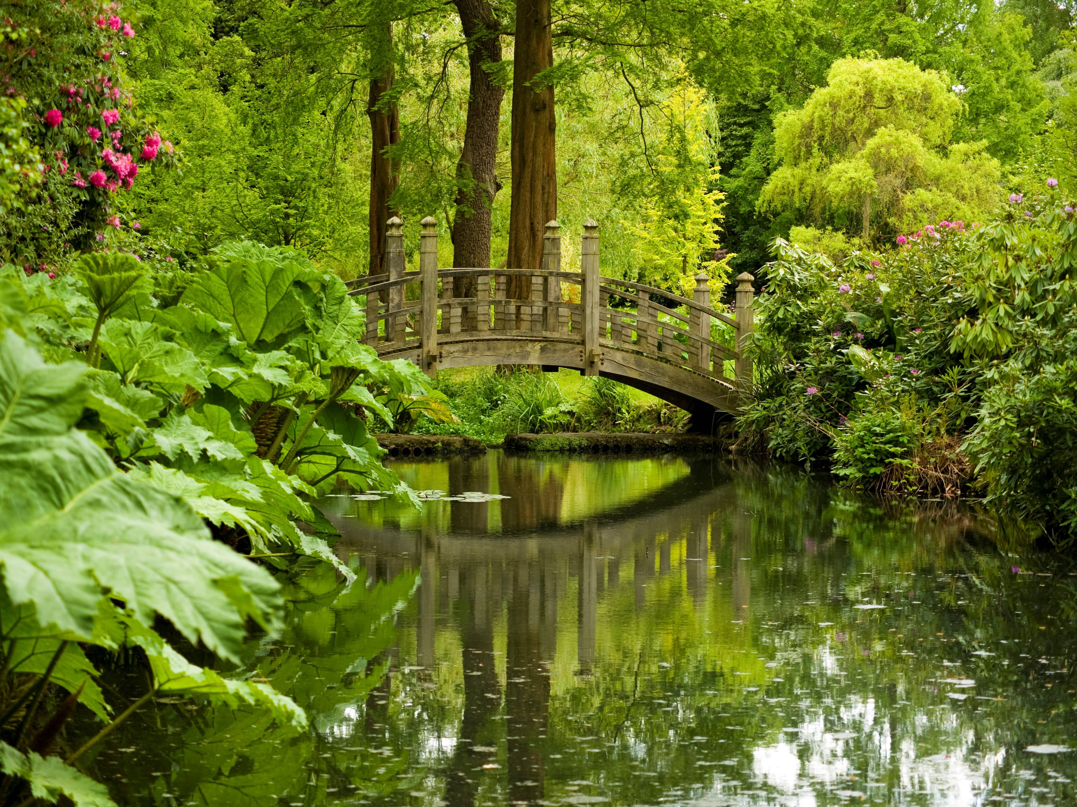 Botanical Collections