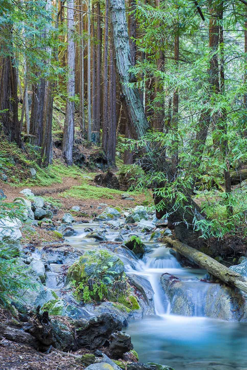 Limekiln Falls Trail