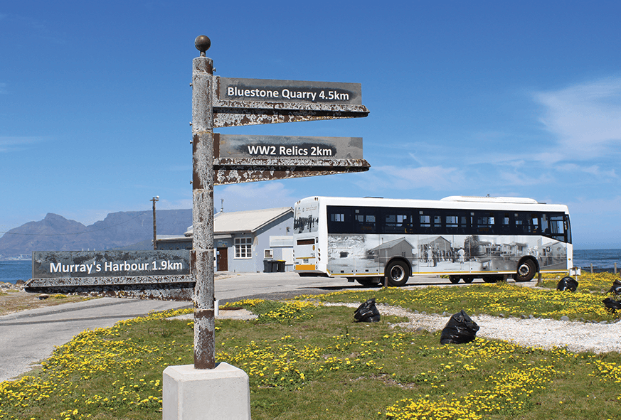 Island Bus Tour