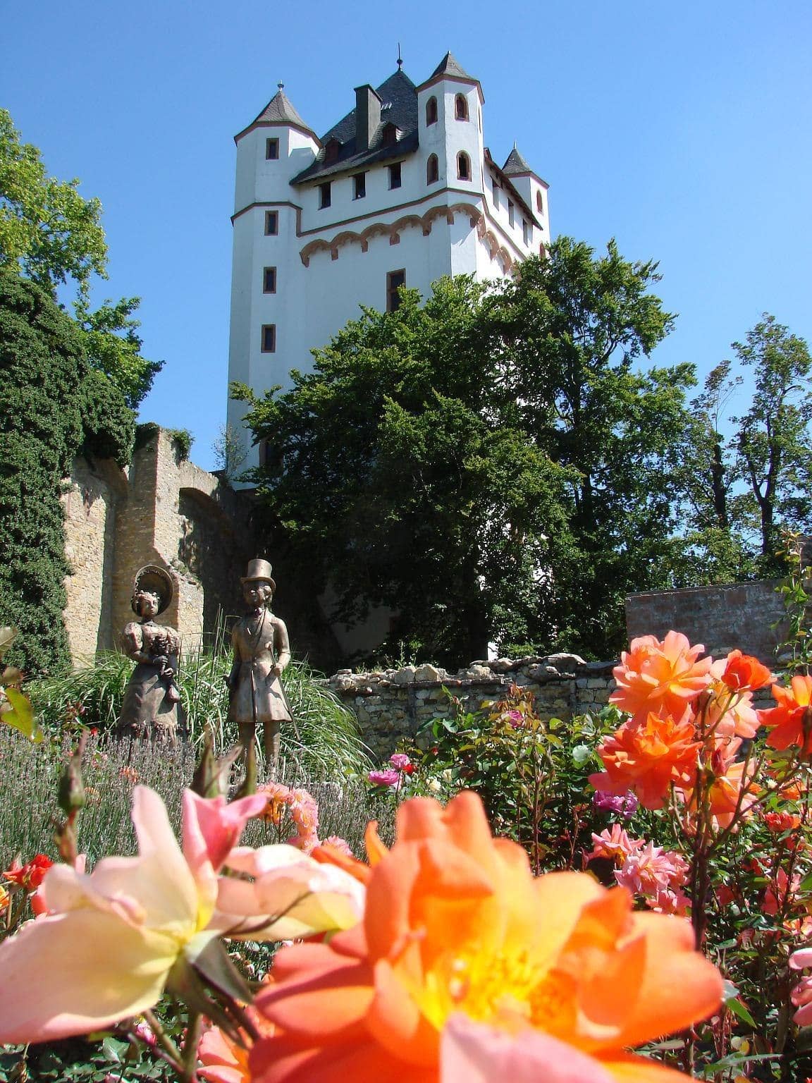 Rose Garden