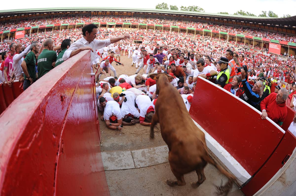 Vaquillas in the Bullring