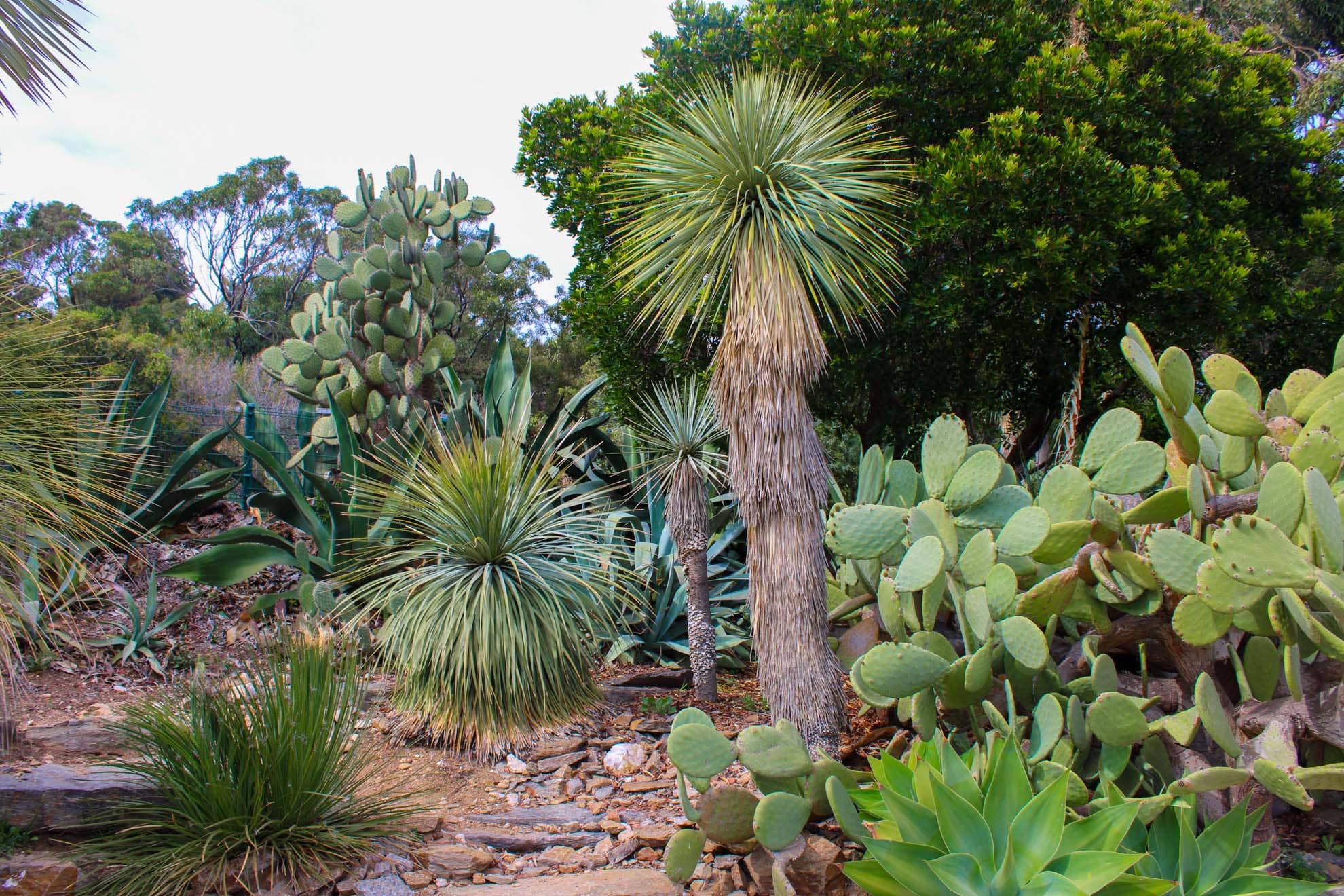 Arid & Subtropical Zones