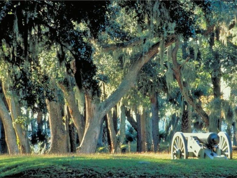 Spanish Moss Draped Oaks