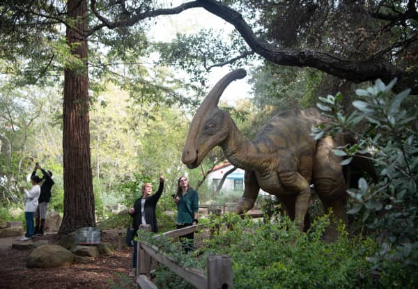 Prehistoric Forest