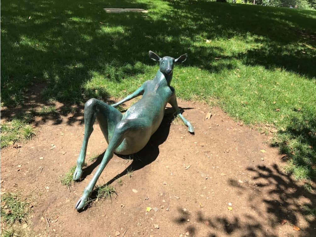 Genoa Park's Hidden Gem