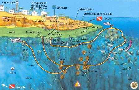 Abundant Marine Life