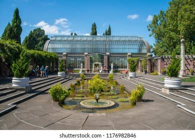 Courtyard Charm