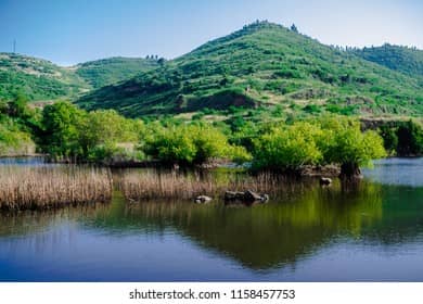 Tranquil Pond Scenery