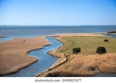 River and Ocean Views