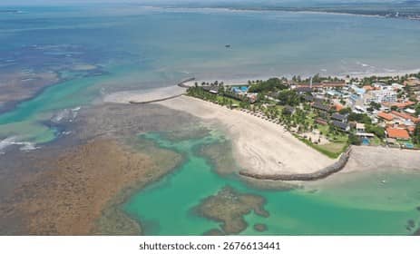 Palm-Lined Coastline