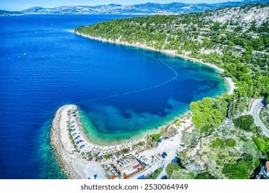 Scenic Palm Tree Lined Shore