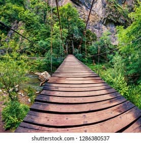 Stream Crossings & Bridges