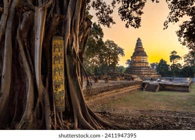 Sunset Views at Wat Chedi Liam