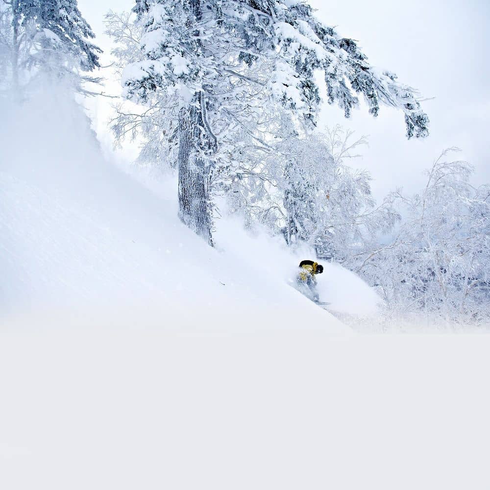 Powder Snow Paradise