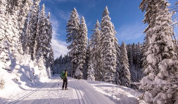 Winter Wonderland