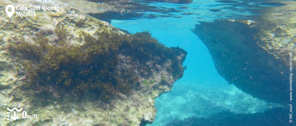 Snorkeling Hotspots