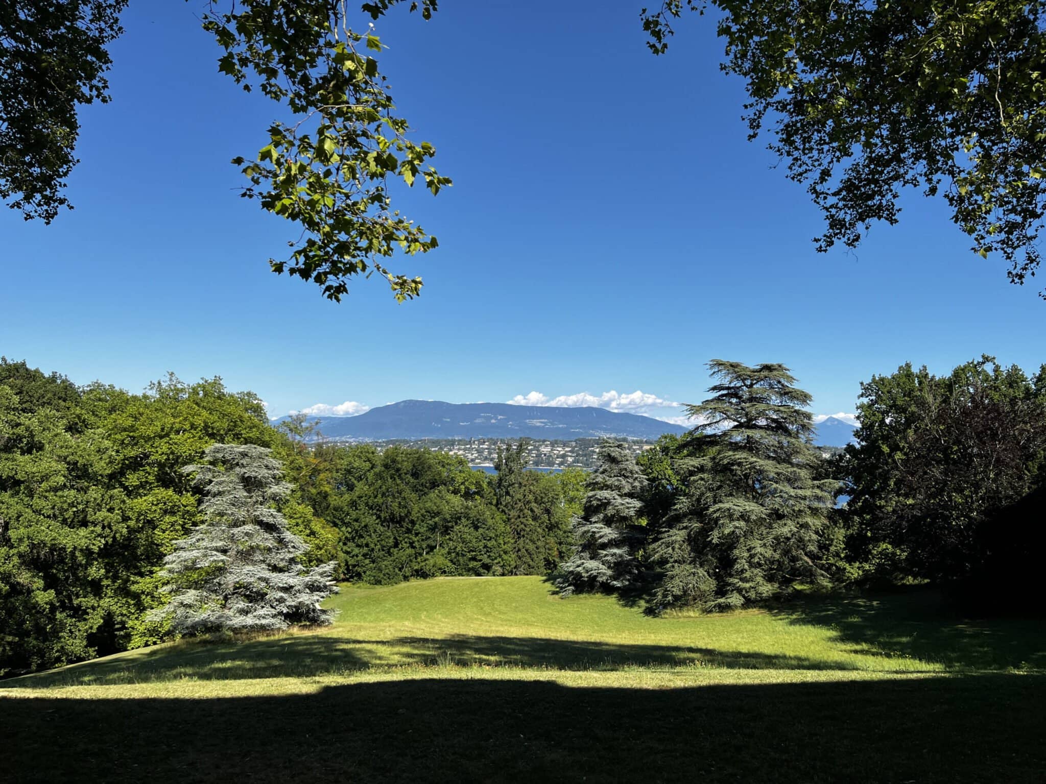 Lush Park Grounds