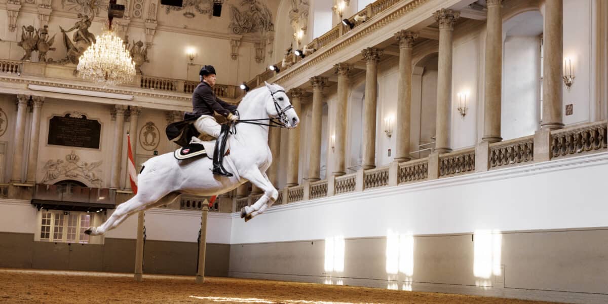 Spanish Riding School