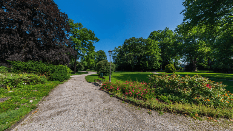 Winding Walking Paths