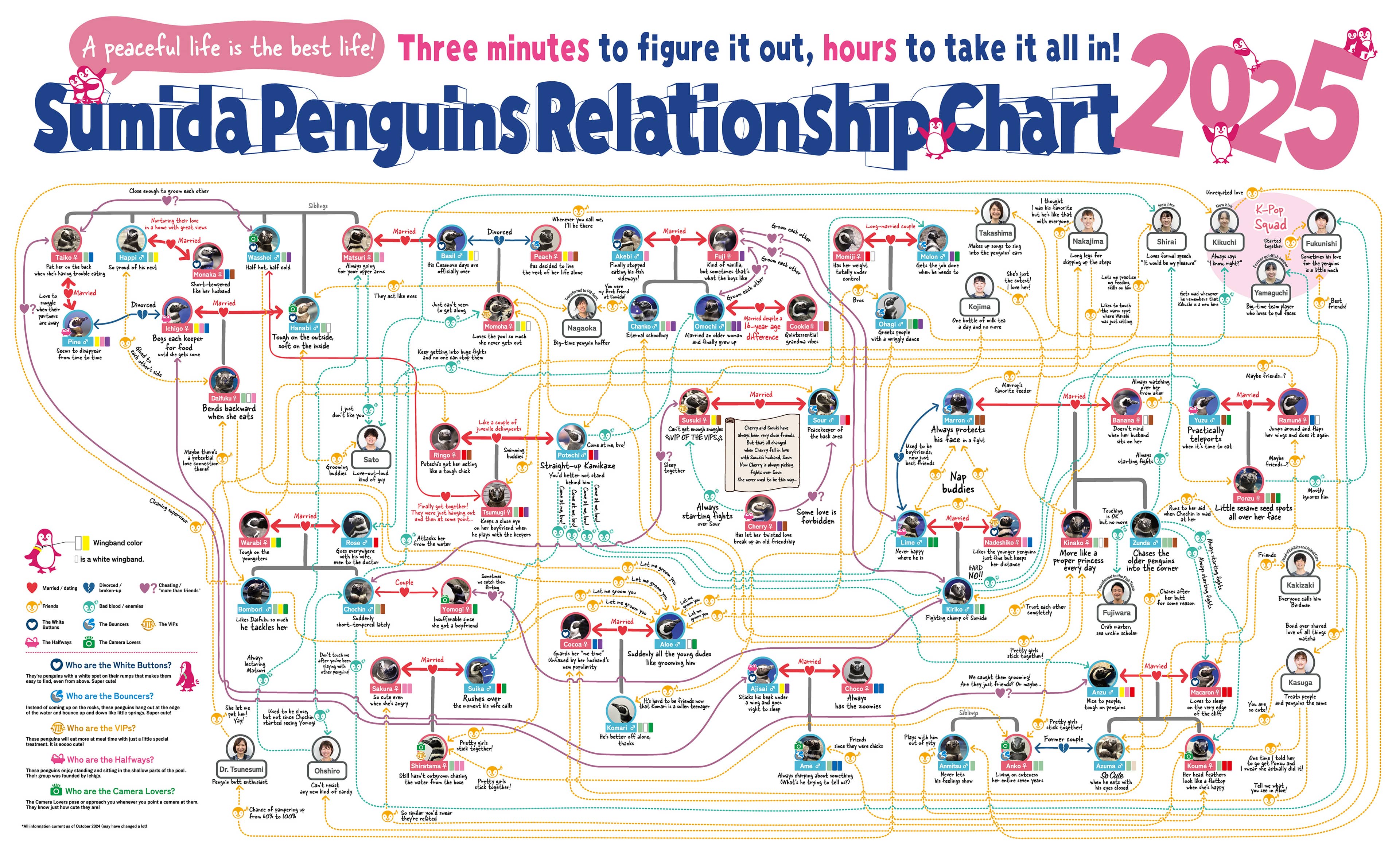 Penguin Relationship Chart
