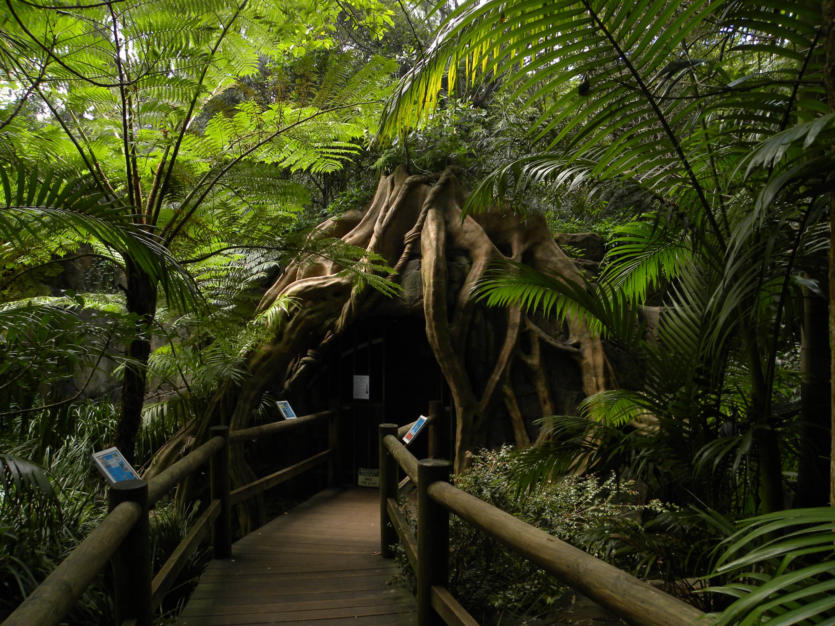 Rainforest and Gardens