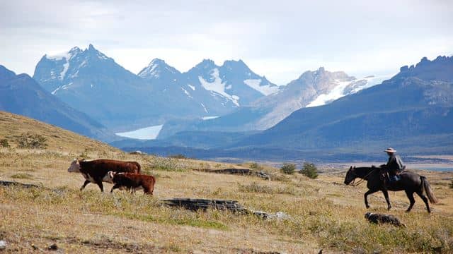 Horseback Riding Adventures