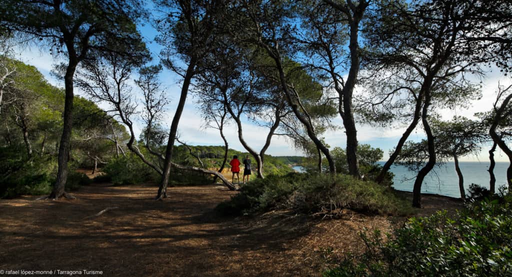 Scenic Coastal Path