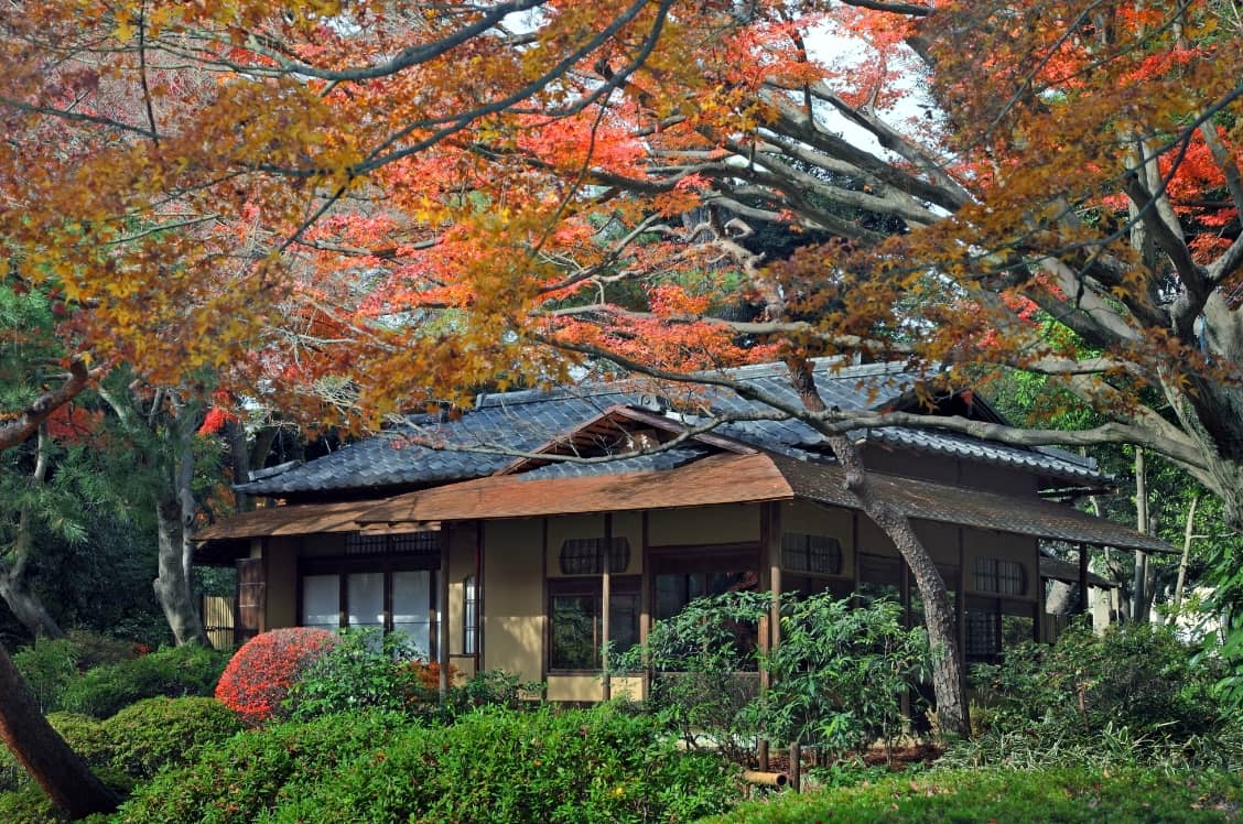 Ueno Park's Green Oasis