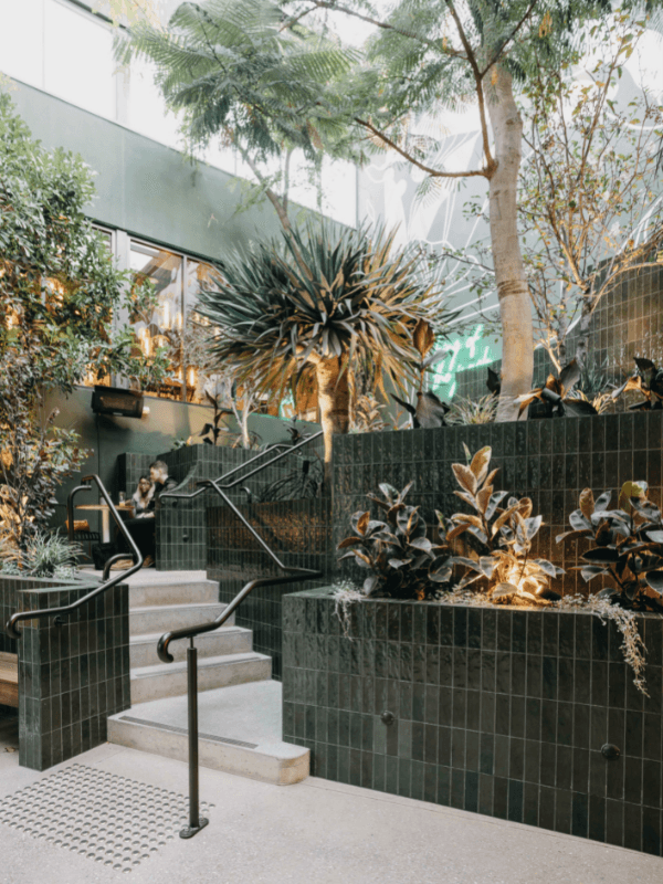 Hidden Bars on Beaufort Street