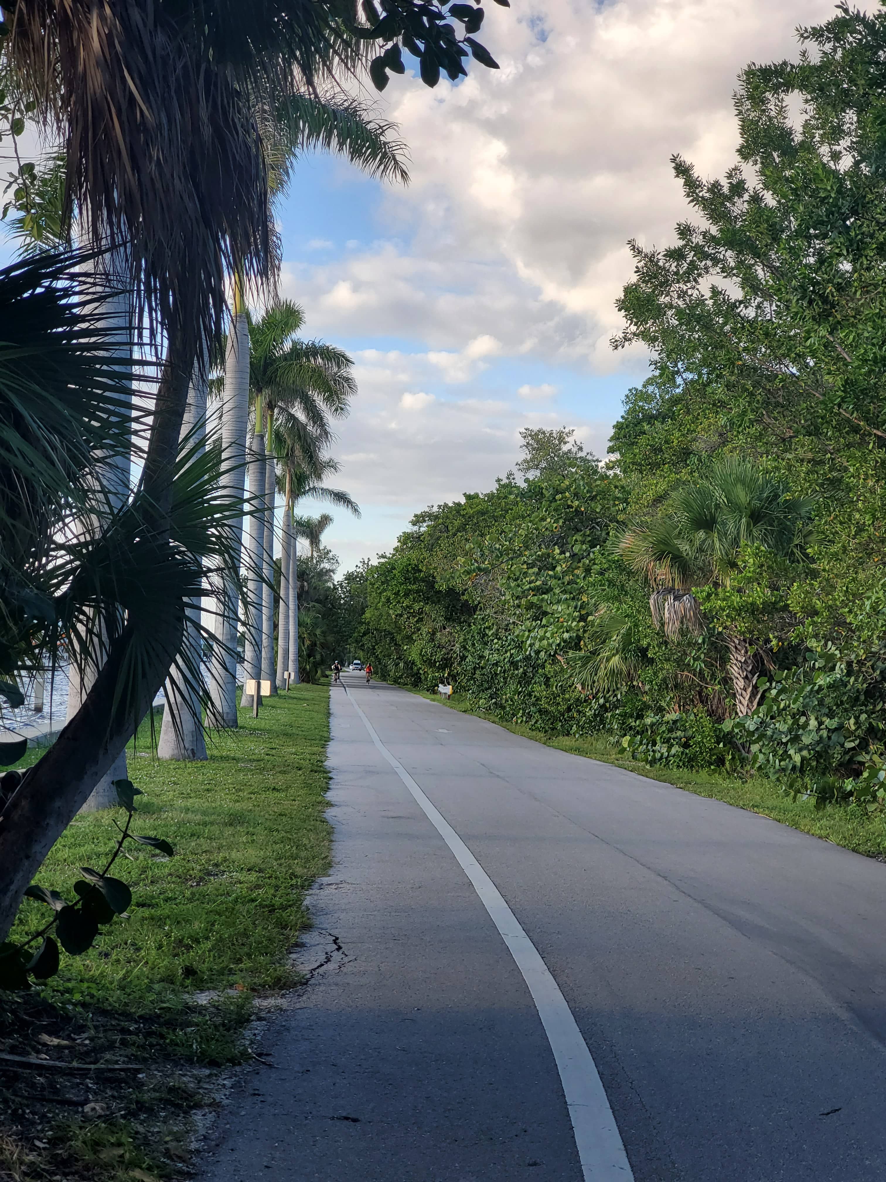 Scenic Park Loop