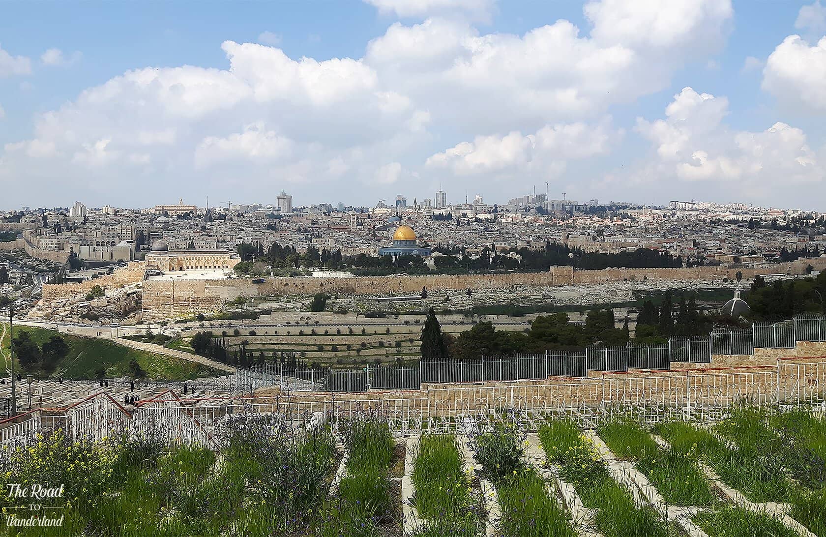 Mount of Olives Views