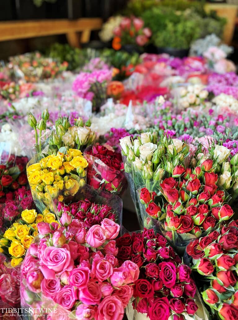 Seasonal Blooms
