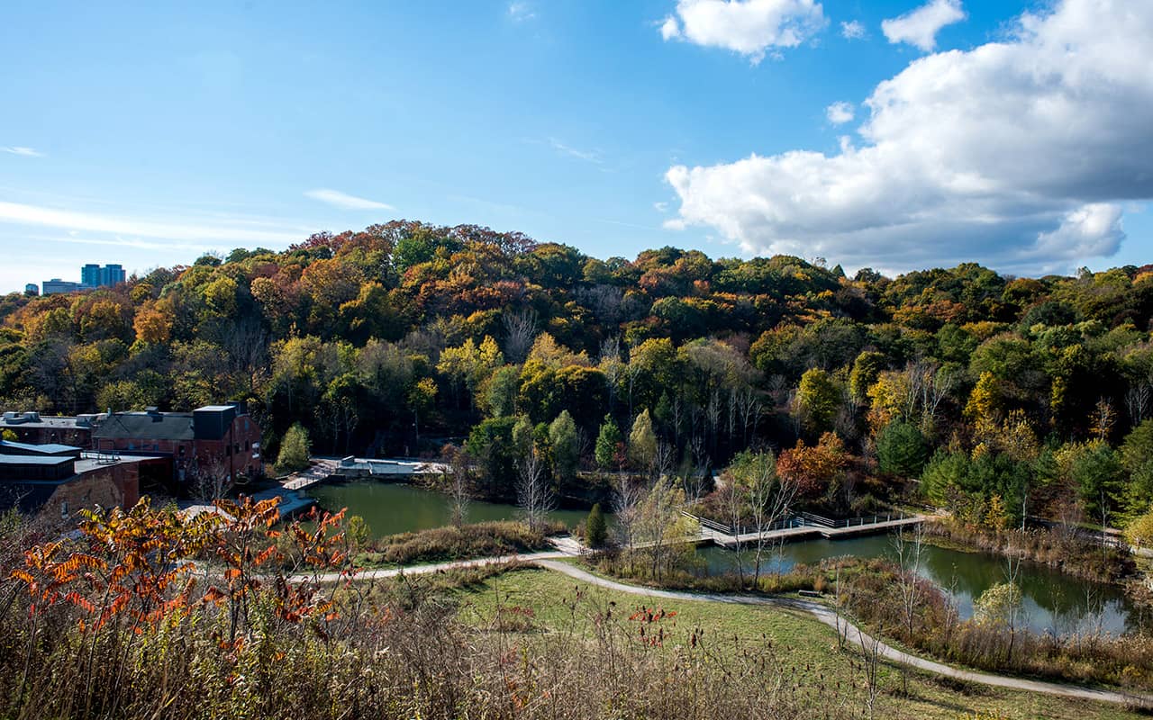 The Pond and Dam