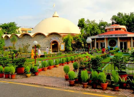 Greenery and Tranquil Gardens