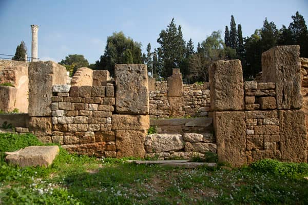 Ancient Punic Quarter Remains
