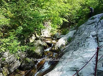 Local Guided Exploration