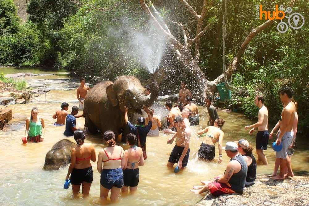 Bathing with Elephants