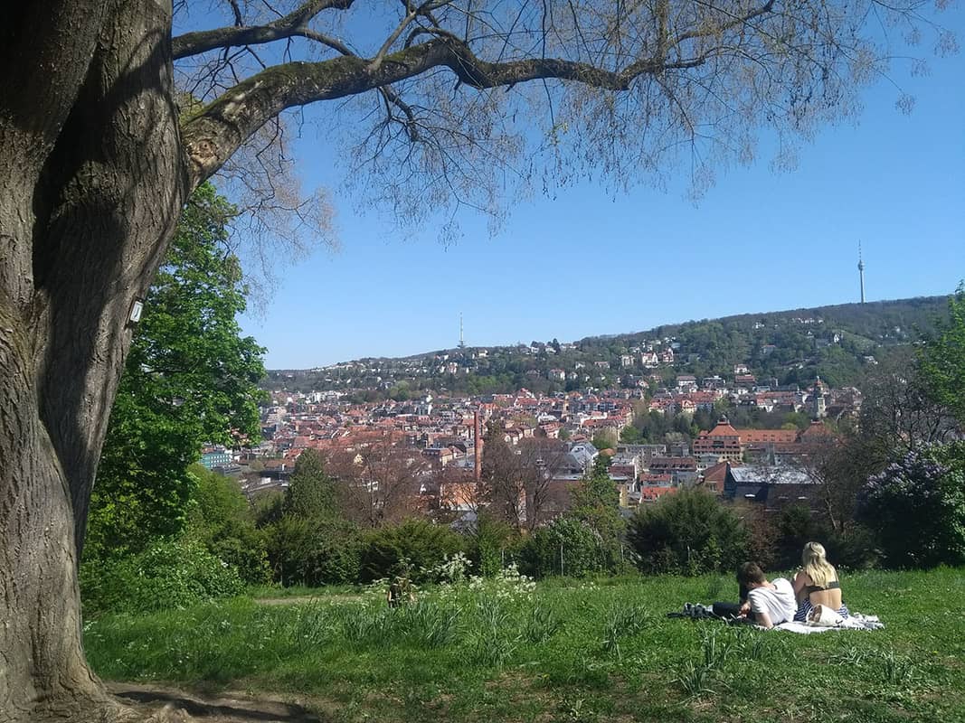 Green Spaces and Walking Paths