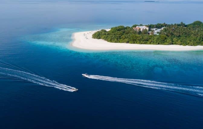 Local Island Charm