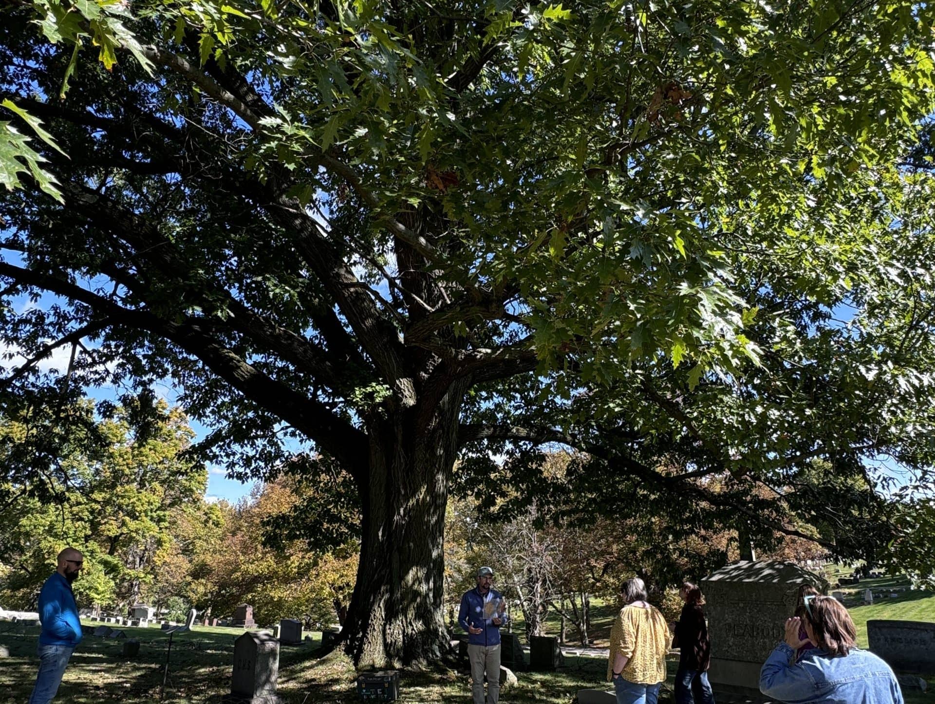 Arboretum Features