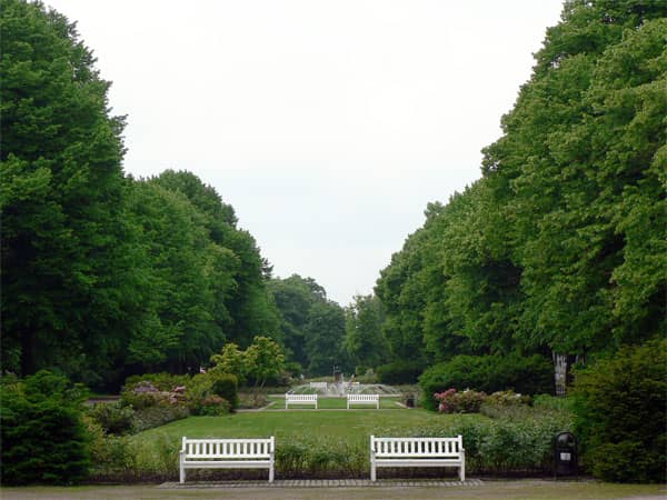 Peaceful Green Oasis