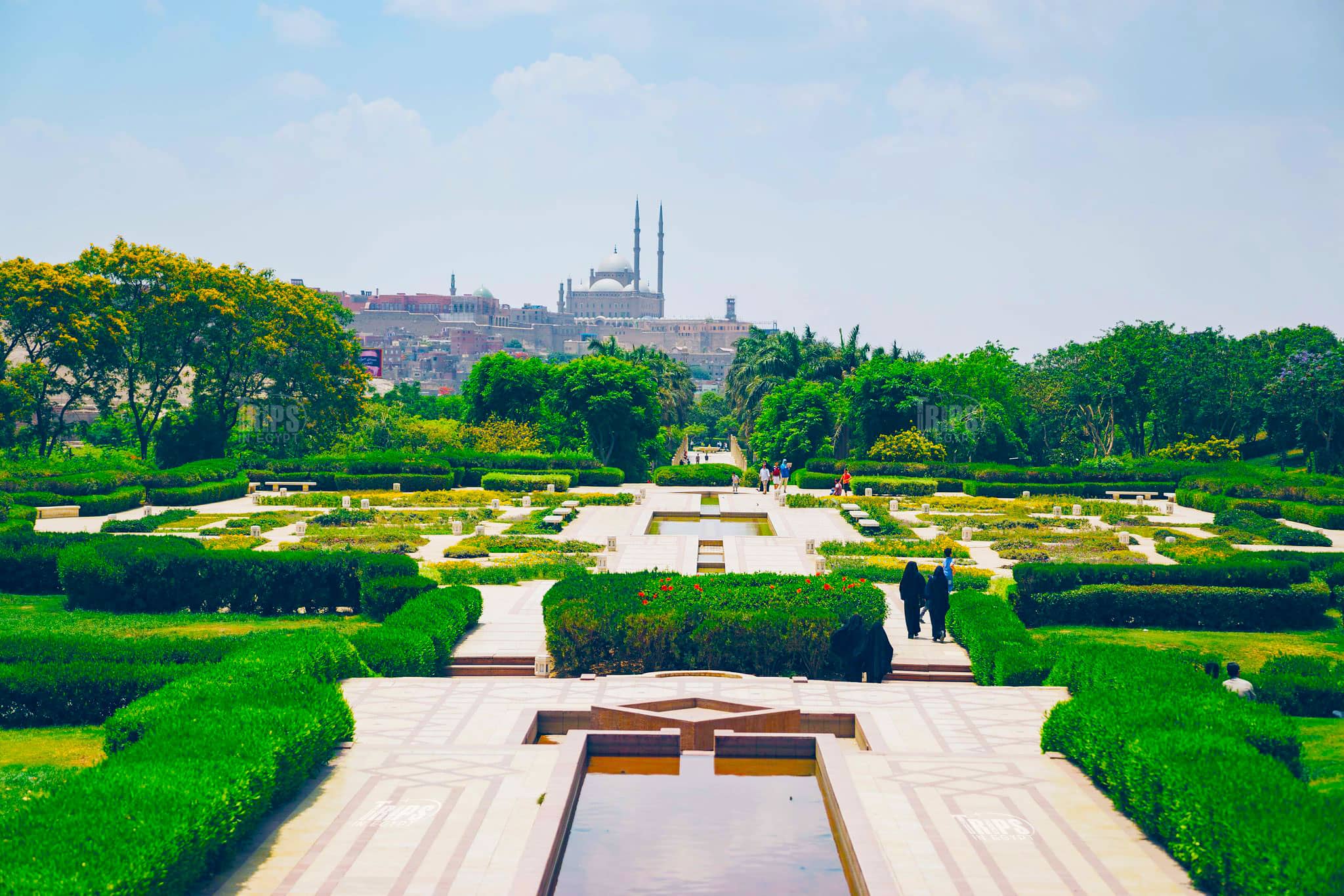 Lush Gardens & Fountains