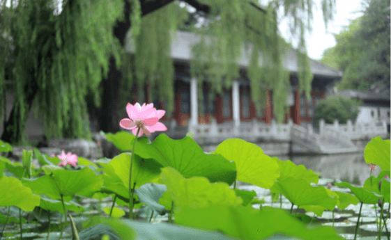 Shui Mu Tsinghua