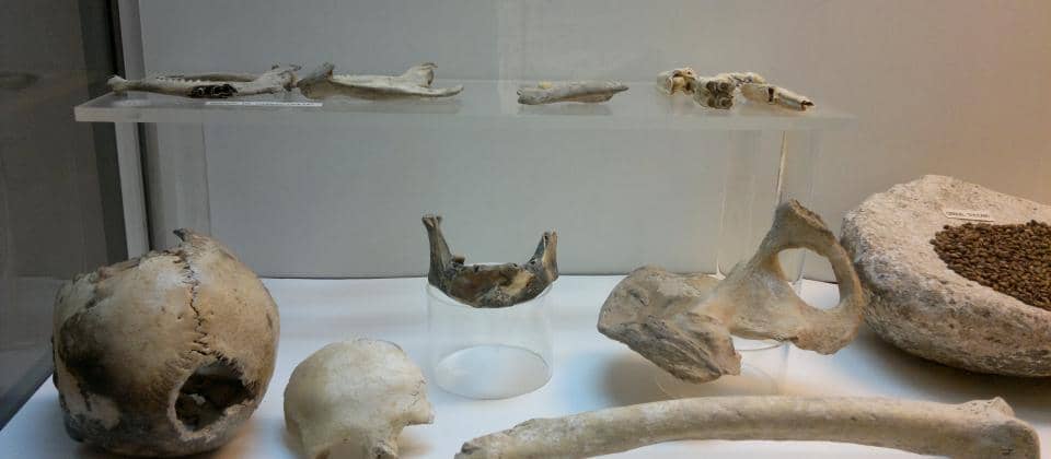 Zuheros Archaeological Museum
